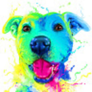 Meet your Posher, Rayna